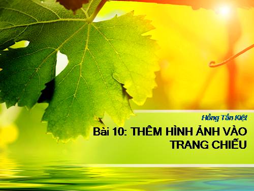 Bài 11. Thêm hình ảnh vào trang chiếu