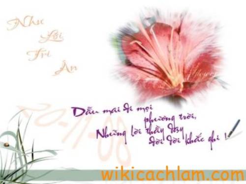Chủ đề thầy cô giáo (Bài làm HS)