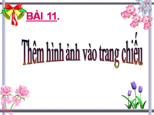 Bài 11. Thêm hình ảnh vào trang chiếu