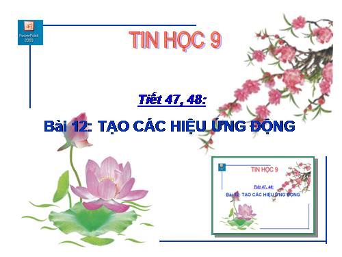 Bài thực hành 9. Hoàn thiện bài trình chiếu với hiệu ứng động