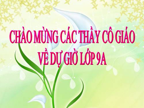 Bài 12. Tạo các hiệu ứng động