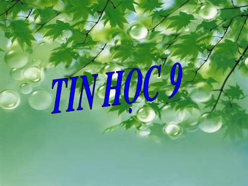 Tiết 55: Ôn tập