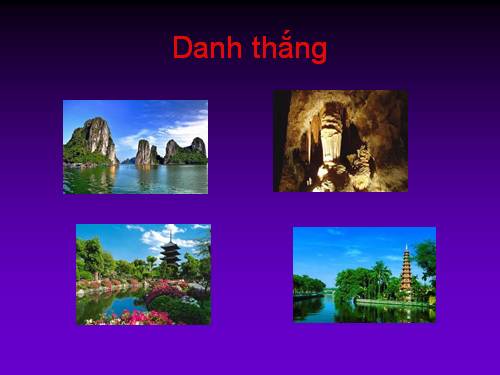 bài thực hành số 8