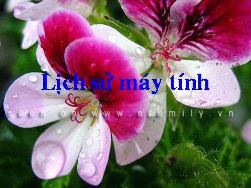 bài thực hành: tìm hiểu về máy tính