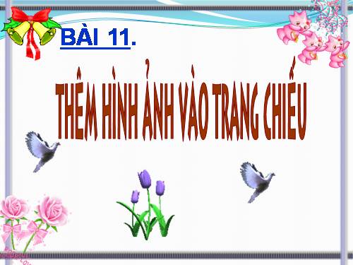 Bài 11. Thêm hình ảnh vào trang chiếu