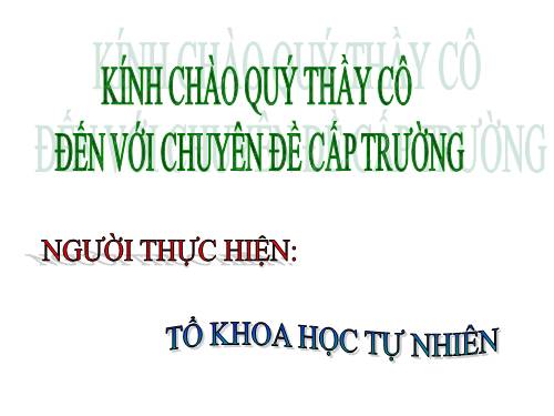 chuyên đề cấp trường