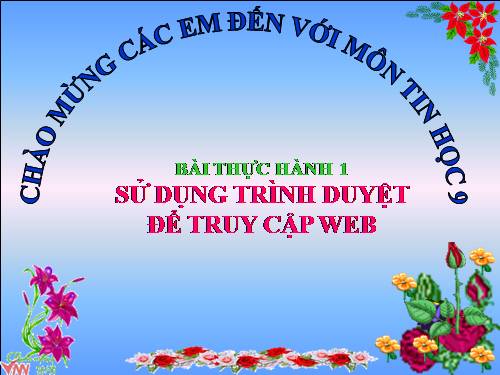 Bài thực hành 1. Sử dụng trình duyệt để truy cập web