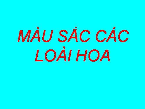 Tong hop cac bai KTTH Tin9 HKII