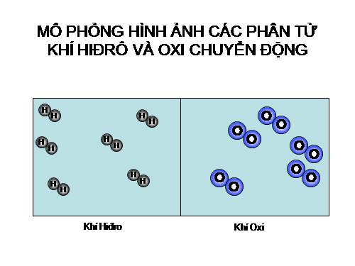 Tin 9 . Bài 13 tiết 60