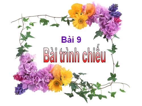 Bài 9. Bài trình chiếu