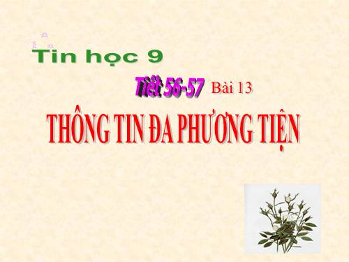 Bài 13. Thông tin đa phương tiện