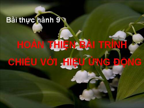 Bài thực hành 9. Hoàn thiện bài trình chiếu với hiệu ứng động