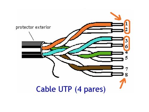 Cách bấm cáp mạng