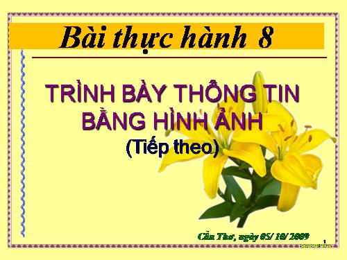 Bài thực hành 8. Trình bày thông tin bằng hình ảnh