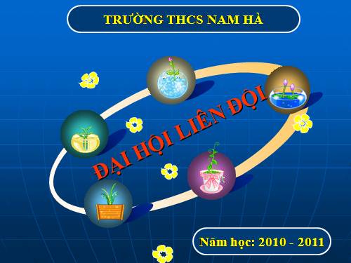 Đại hội liên đội