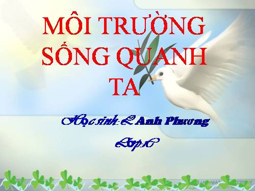 Moi Truong