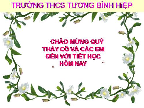 Bài 3. Tổ chức và truy cập thông tin trên Internet