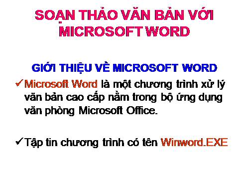 Bài giảng Word 2003