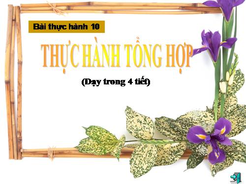 Bài thực hành 10. Thực hành tổng hợp