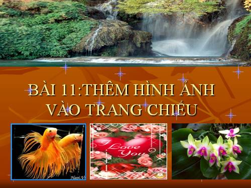 Bài 11. Thêm hình ảnh vào trang chiếu