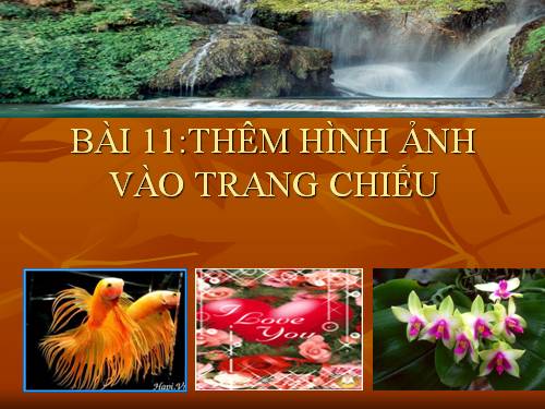 Bài 11. Thêm hình ảnh vào trang chiếu