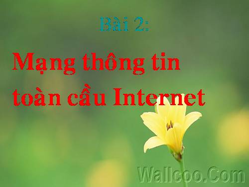 Bài 2. Mạng thông tin toàn cầu Internet