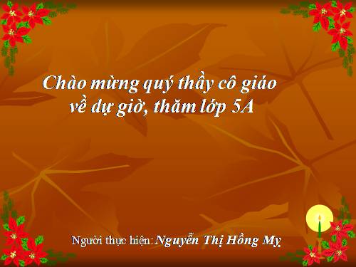 Tuần 8. Kì diệu rừng xanh