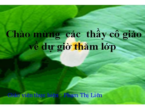 Bài 5. Sự cân bằng lực - Quán tính