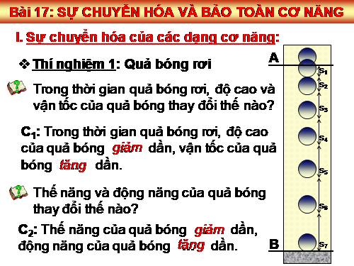 Bài 17. Sự chuyển hoá và bảo toàn cơ năng