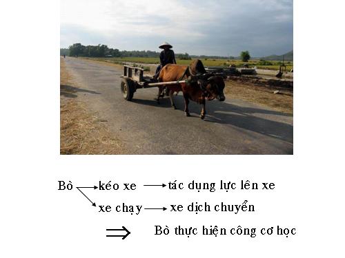 Bài 13. Công cơ học