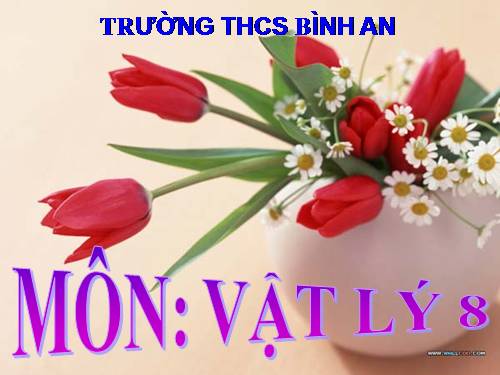 Bài 13. Công cơ học