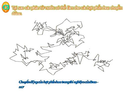 Bài 20. Nguyên tử, phân tử chuyển động hay đứng yên?