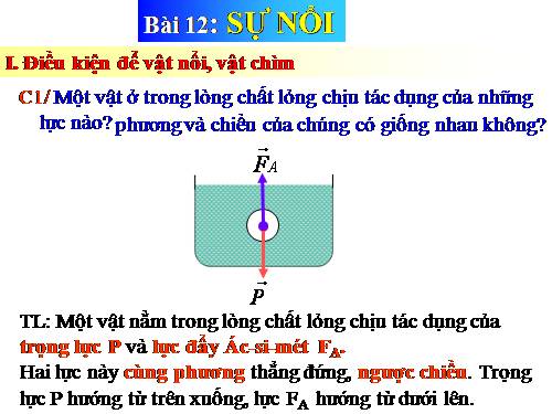 Bài 12. Sự nổi