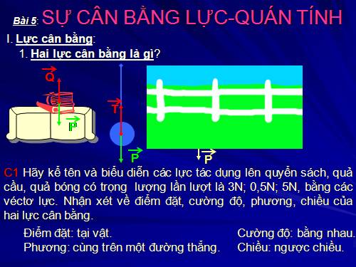 Bài 5. Sự cân bằng lực - Quán tính