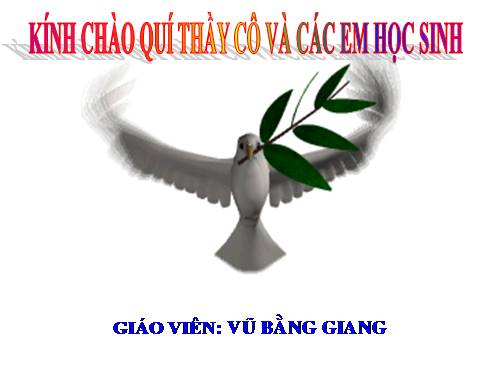 Bài 18. Câu hỏi và bài tập tổng kết chương I: Cơ học