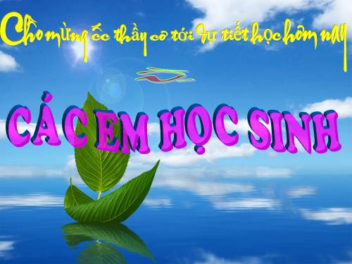 Bài 13. Công cơ học