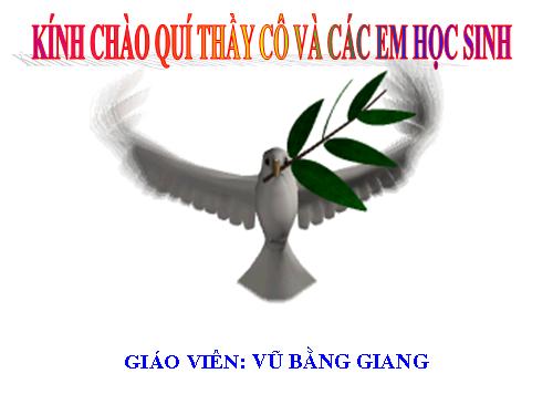 Bài 18. Câu hỏi và bài tập tổng kết chương I: Cơ học