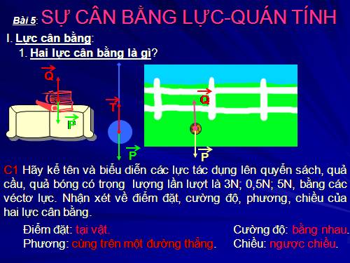 Bài 5. Sự cân bằng lực - Quán tính