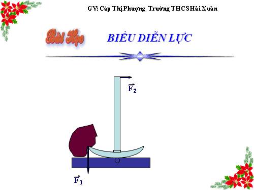 Bài 4. Biểu diễn lực