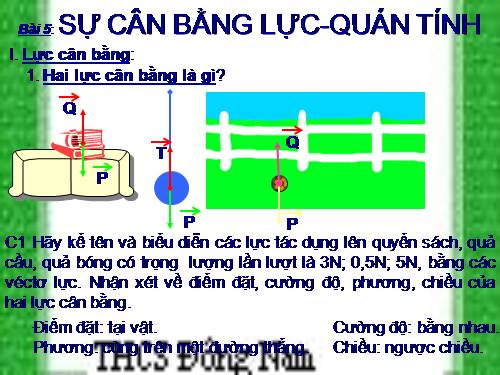 Bài 5. Sự cân bằng lực - Quán tính