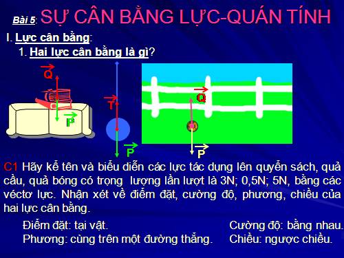 Bài 5. Sự cân bằng lực - Quán tính