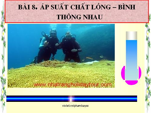 Bài 8. Áp suất chất lỏng - Bình thông nhau