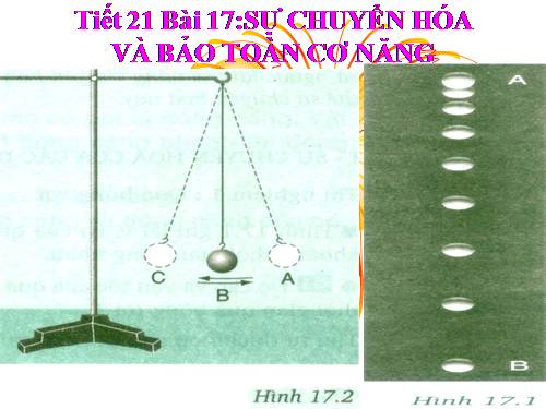 Bài 17. Sự chuyển hoá và bảo toàn cơ năng