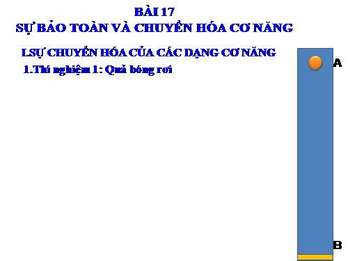 Bài 17. Sự chuyển hoá và bảo toàn cơ năng