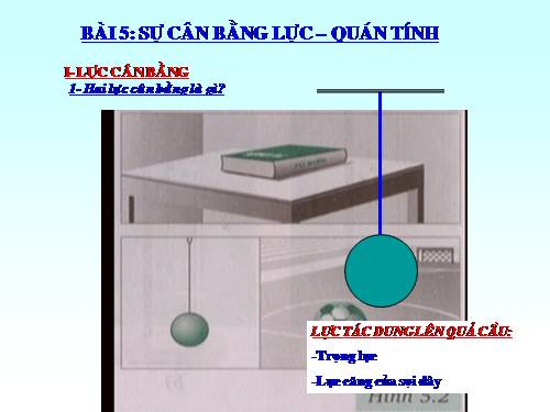 Bài 5. Sự cân bằng lực - Quán tính