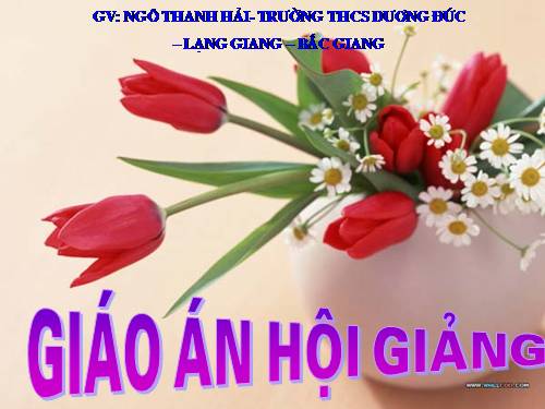 Bài 13. Công cơ học