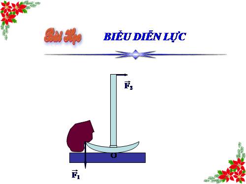 Bài 4. Biểu diễn lực