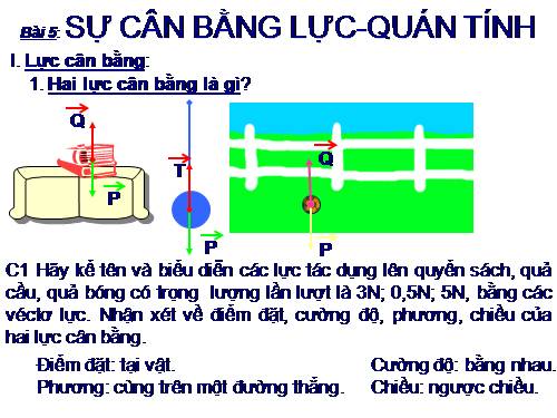 Bài 5. Sự cân bằng lực - Quán tính