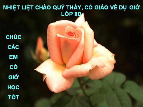 Bài 5. Sự cân bằng lực - Quán tính