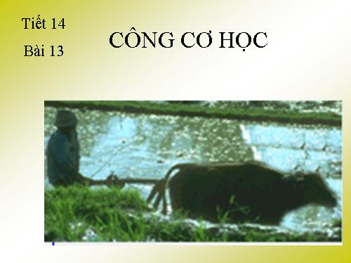 Bài 13. Công cơ học